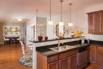 Gourmet kitchens